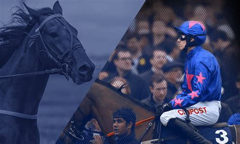 william hill careers uk|william hill horse racing today.